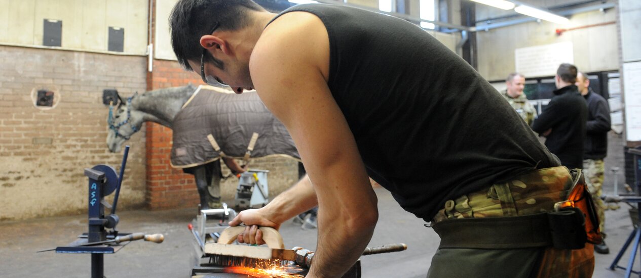 Farriers Bulletin - Issue No 148